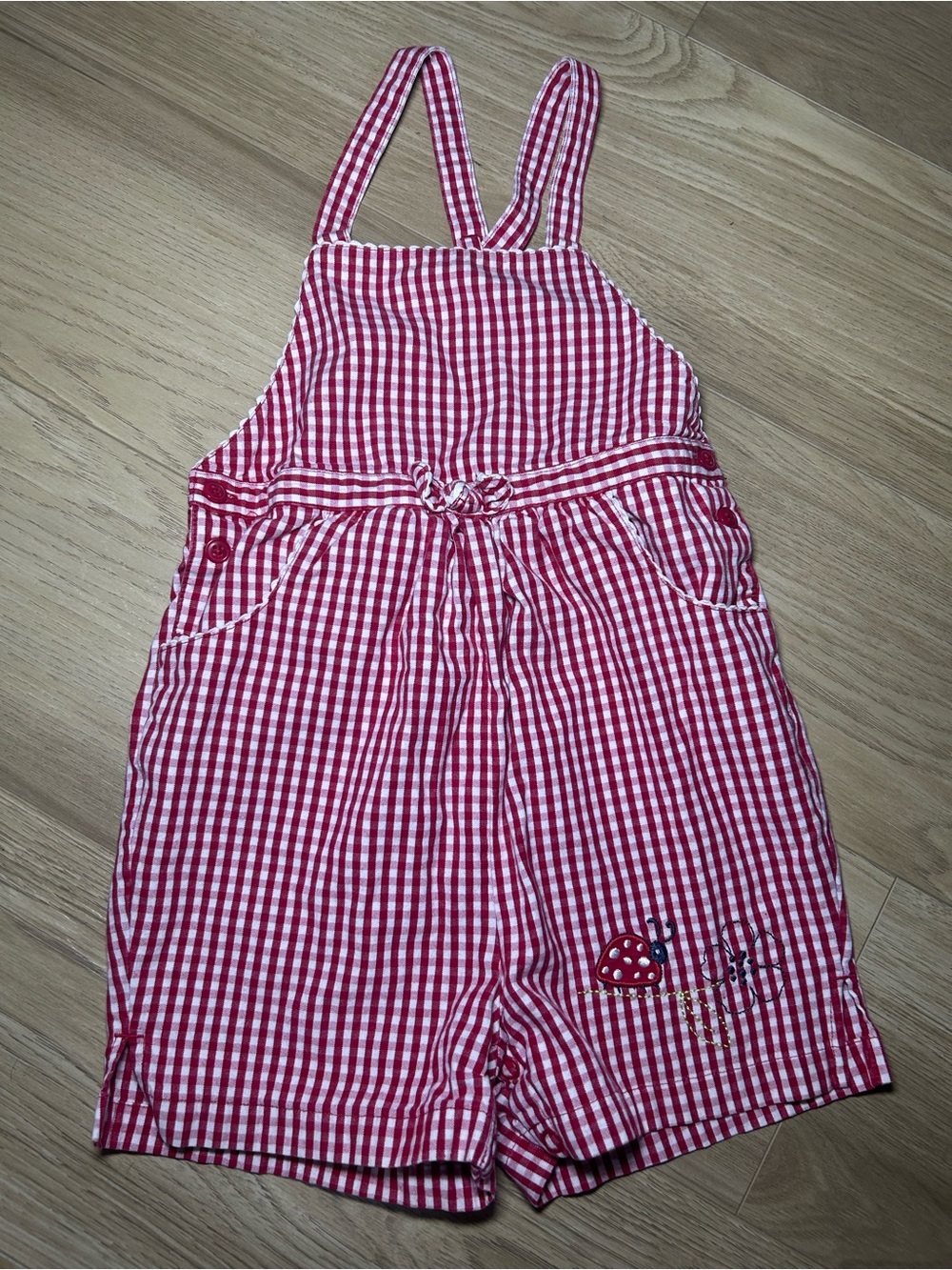 Gymboree Red and White Gingham Romper with Ladybug Detail